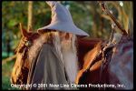 Gandalf (Ian McKellen)