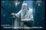 Saruman (Christopher Lee)